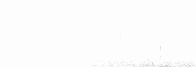 Black-throated Gray Warbler - ML617476850