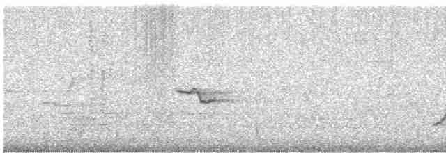 Oriole des vergers - ML617476923