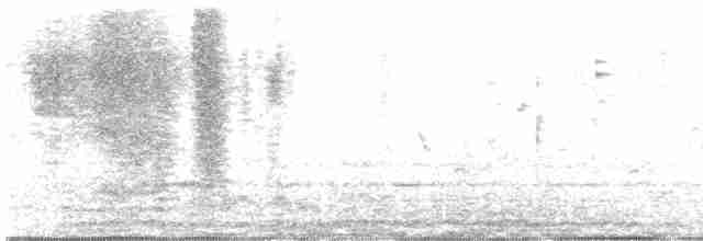 Kara Gözlü Junko (hyemalis/carolinensis) - ML617478568