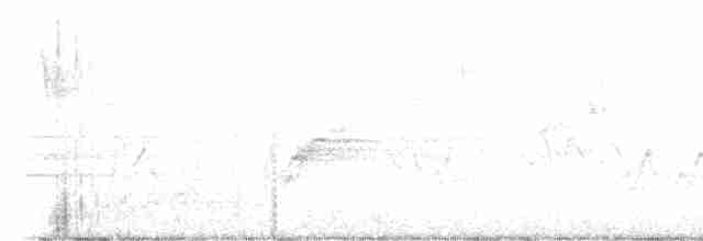Cerulean Warbler - ML617478894