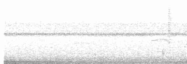 Olivgrau-Ameisenvogel - ML617479338