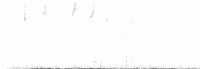 Горный крапивник - ML617479664
