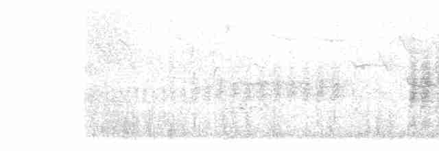 střízlík obecný (ssp. indigenus) - ML617479739
