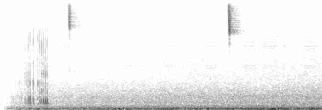 Малая воробьиная овсянка - ML617481104