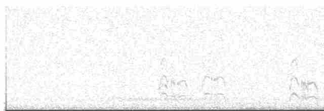 Крячок рябодзьобий - ML617481544