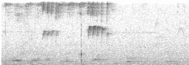 Мухолов-клинодзьоб сірий - ML617482184