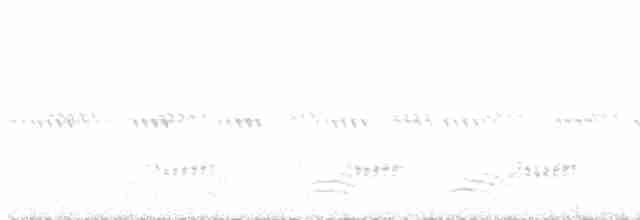 Kara Leş Kargası - ML617482636