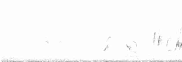 Kıvrık Gagalı Çöpçü - ML617482669