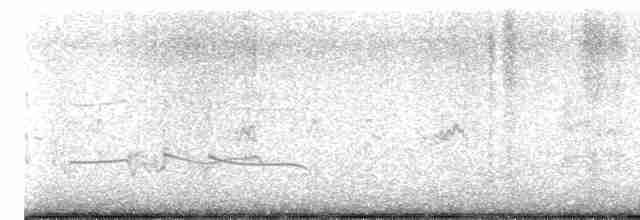 Black-bellied Plover - ML617486240