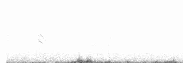 Щеврик пампасовий - ML617487107