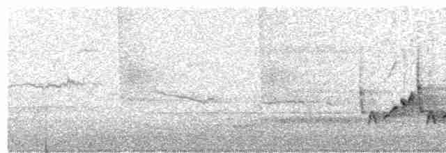 Поплітник каролінський - ML617487306