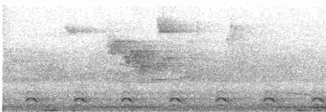 Slaty-tailed Trogon - ML617488389