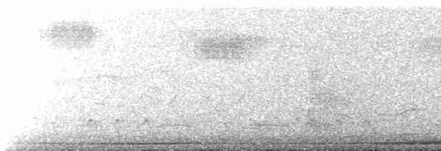 Gözlüklü Güvercin - ML617489700
