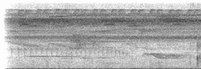 Светлогорлый древолаз (guttatoides/dorbignyanus) - ML617490263