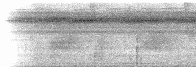 brunvingemaurvarsler - ML617490372