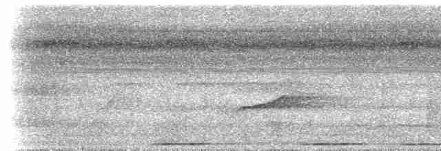 ハマダラヒラハシハエトリ（obscuriceps） - ML617490489