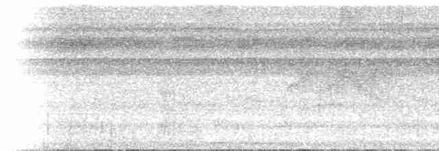 Полосатый арасари - ML617490520