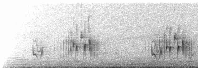 Серогрудый трескунчик - ML617490601