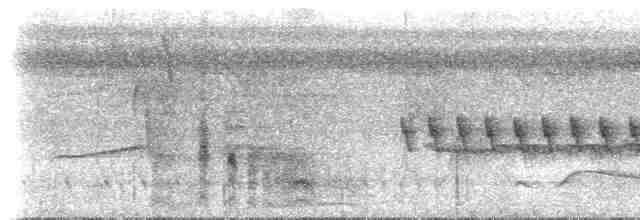 krattmyggsmett (parvirostris) - ML617491333