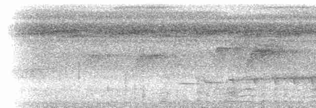 Гвианский иглохвост [группа sclateri] - ML617491349