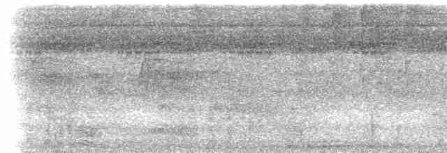 kukačka veverčí [skupina cayana] - ML617491365