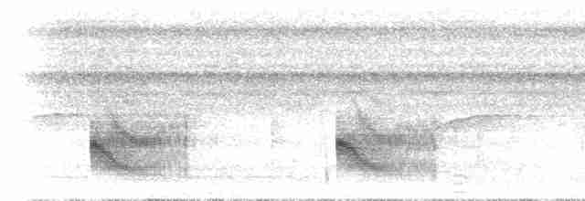 svarthakemaurvarsler - ML617491421