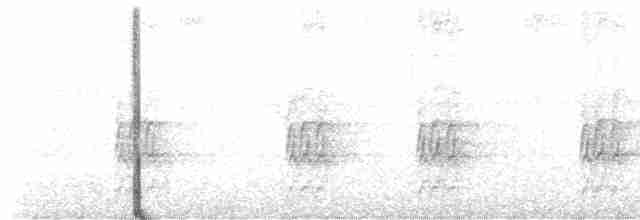 Kestane Sırtlı Karıncakuşu - ML617492214