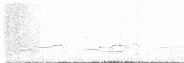 Black-bellied Plover - ML617493719