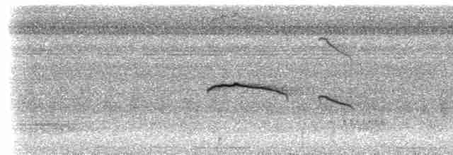 Ruddy-tailed Flycatcher - ML617494805