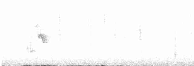 Чечевиця рожевовола - ML617494894