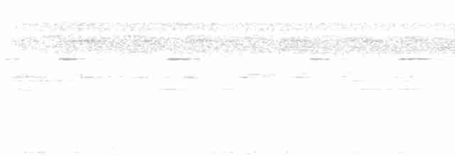 Pauraquenachtschwalbe - ML617495290