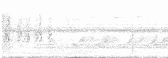 סנונית רפתות - ML617495354