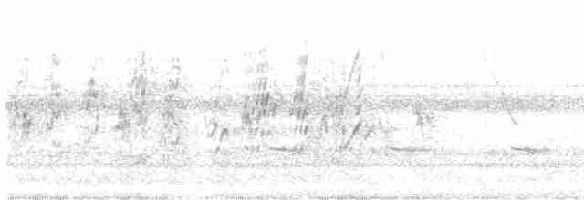 סנונית רפתות - ML617495355