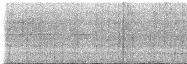 Прямоклювый колибри-отшельник (bourcieri) - ML617495373