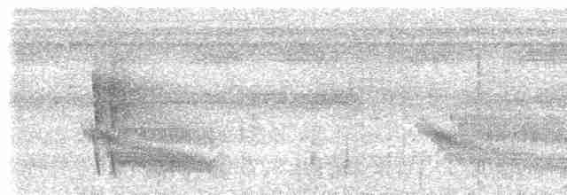 Gri Tepeli Karıncakuşu - ML617496659