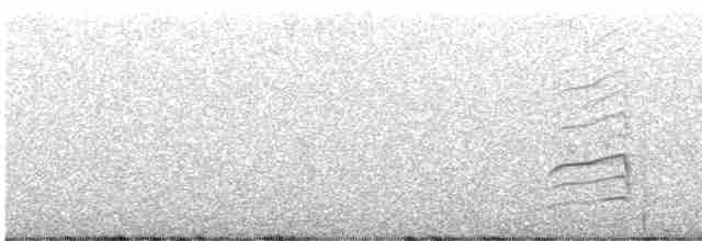 Kara Gagalı Saksağan - ML617497519