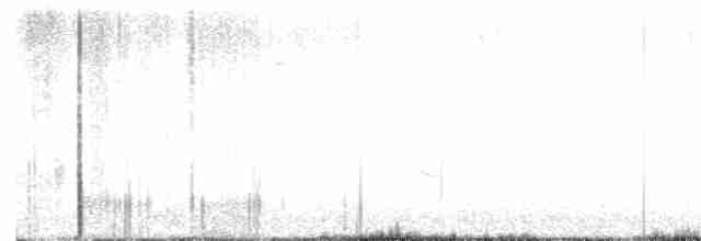 Weißbrustkleiber - ML617497671
