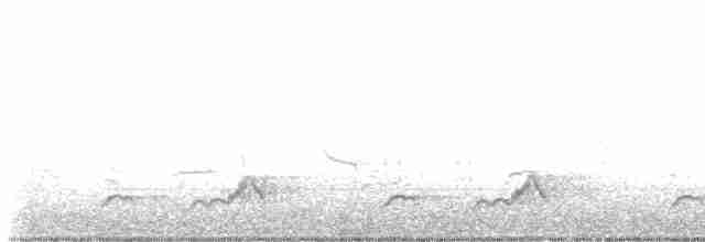 Schwarzkehl-Nachtschwalbe - ML617497684