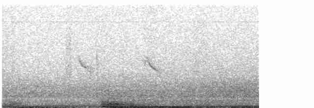 Evening Grosbeak (type 1) - ML617498143