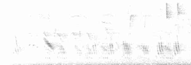 Büyük Mor Kırlangıç - ML617498551