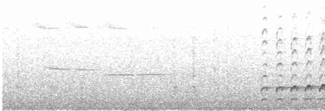 Pileated Woodpecker - ML617499139