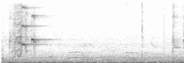 vlhovec velkoocasý - ML617499715