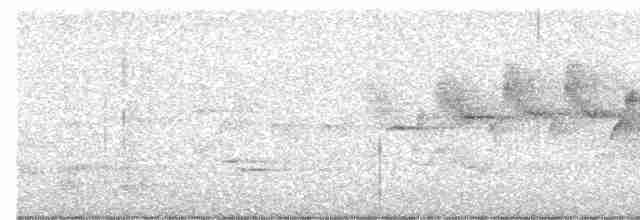 Black-throated Gray Warbler - ML617500748