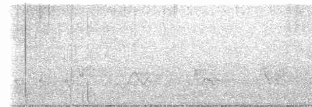 Піранга жовтогуза - ML617501128