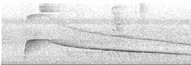 Желтоклювый кракс - ML617504713