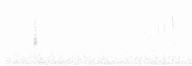 Gray Whistler (Brown) - ML617505037