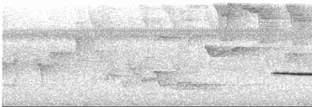 Pullu Çıtkuşu - ML617505690