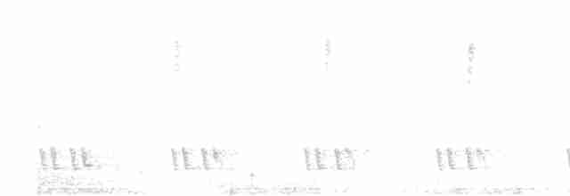 Kara Kulaklı Barbet - ML617510496