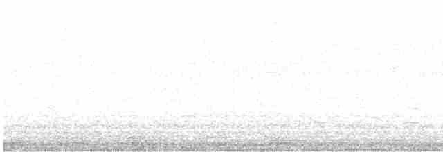 Кулик-довгоніг чорнокрилий - ML617510787