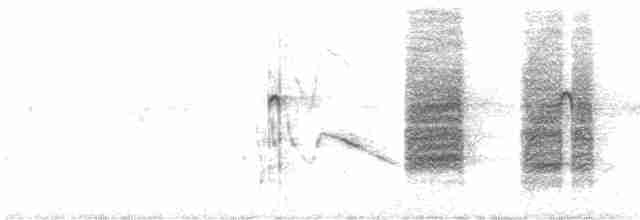 halsbåndfrankolin - ML617511201